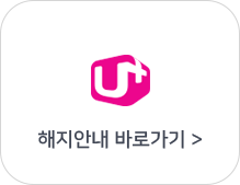 LG U+ ȳ ٷΰ